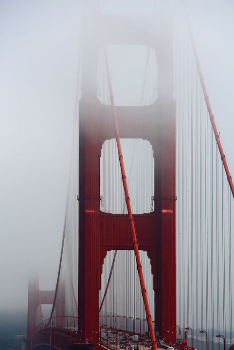Golden red - San Francisco 2014