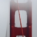 Golden red - San Francisco 2014